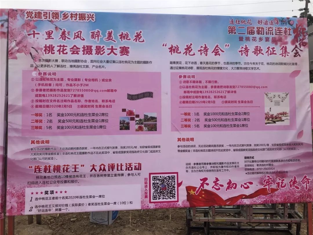 本届勒流连杜桃花会依托勒流的桃花资源,以桃花文化