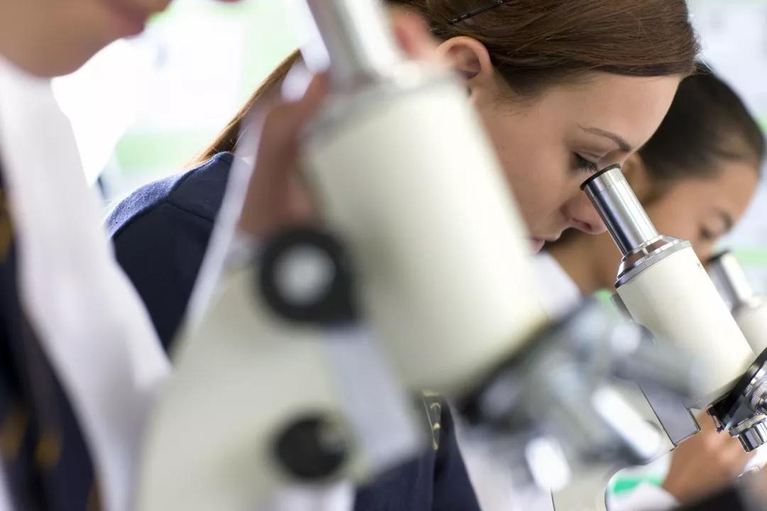 怎样通过科研论文拍马屁?这里教你四种方式