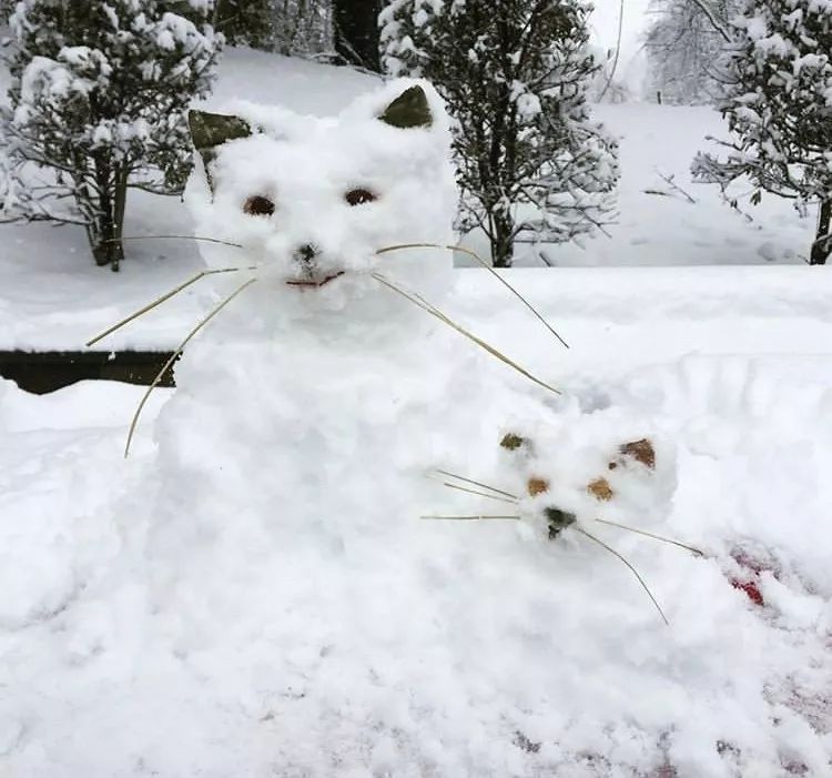 我堆的雪人跟我家猫长得一模一样