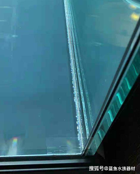 鱼缸白色菌膜图片