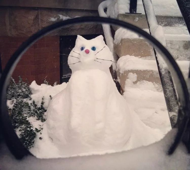 我堆的雪人跟我家猫长得一模一样