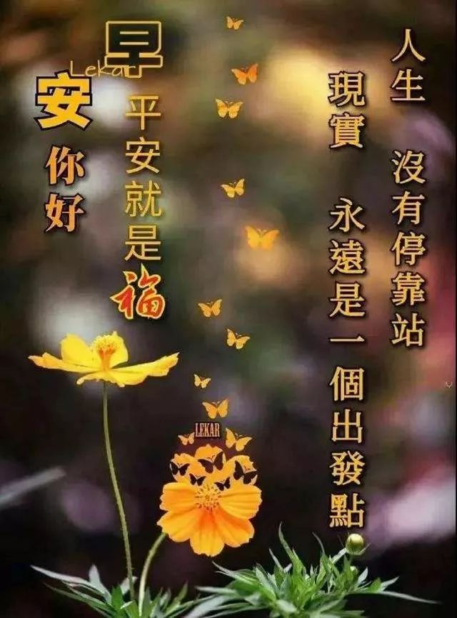 清晨早安祝福語唯美的句子2020早上好表情圖片合集