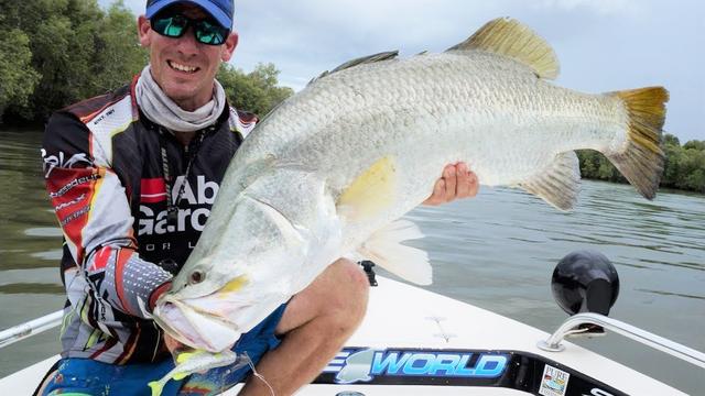 红树林海湾路亚超大金目鲈成群全是近米级大物
