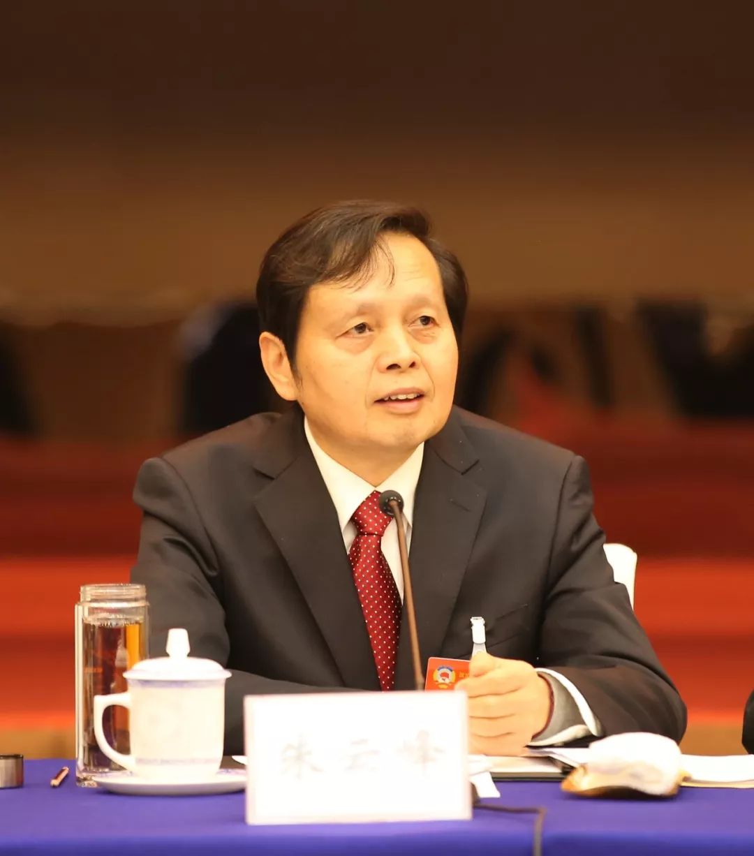 徐平,朱开宝,朱云峰,卢道富,张红娣,陈林海,市政协老领导郭礼荣