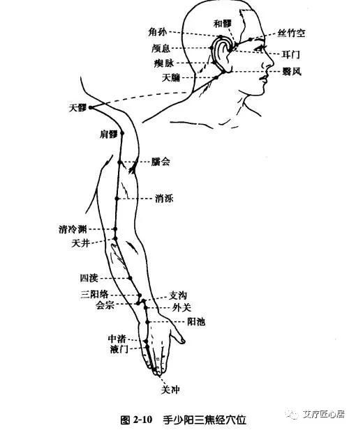 它是人體的出氣筒,長期情志不舒會造成氣鬱型偏頭痛.