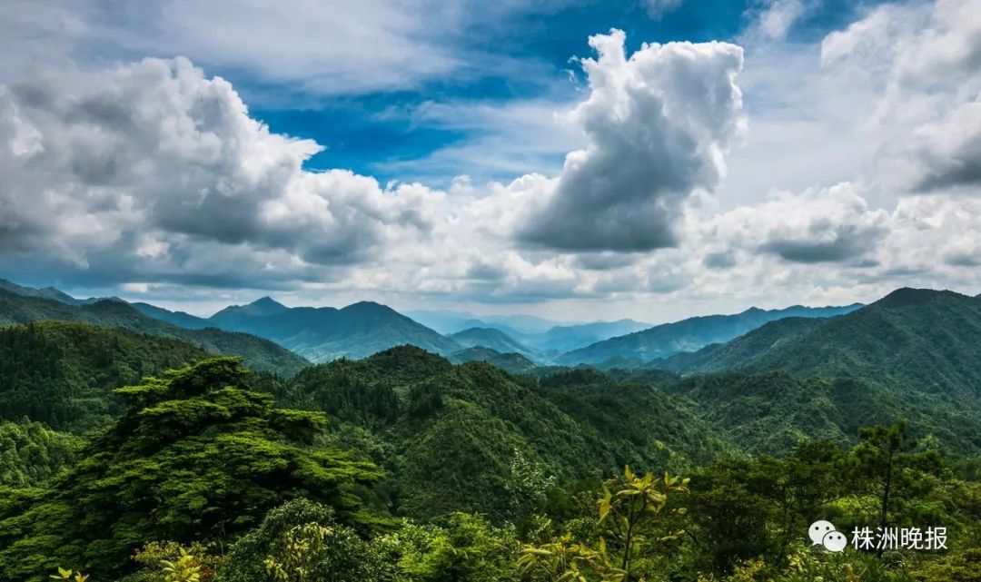 炎陵大山深处冬景惊艳到我了竟有这么美的地方