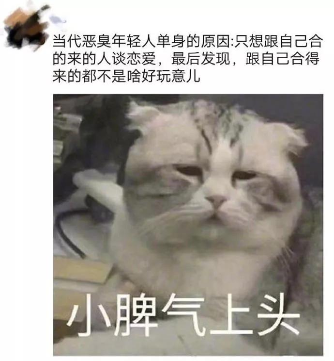 图片[12] - 【xizi被窝段子20200112】童心未泯 是一件值得骄傲的事情 - xizi