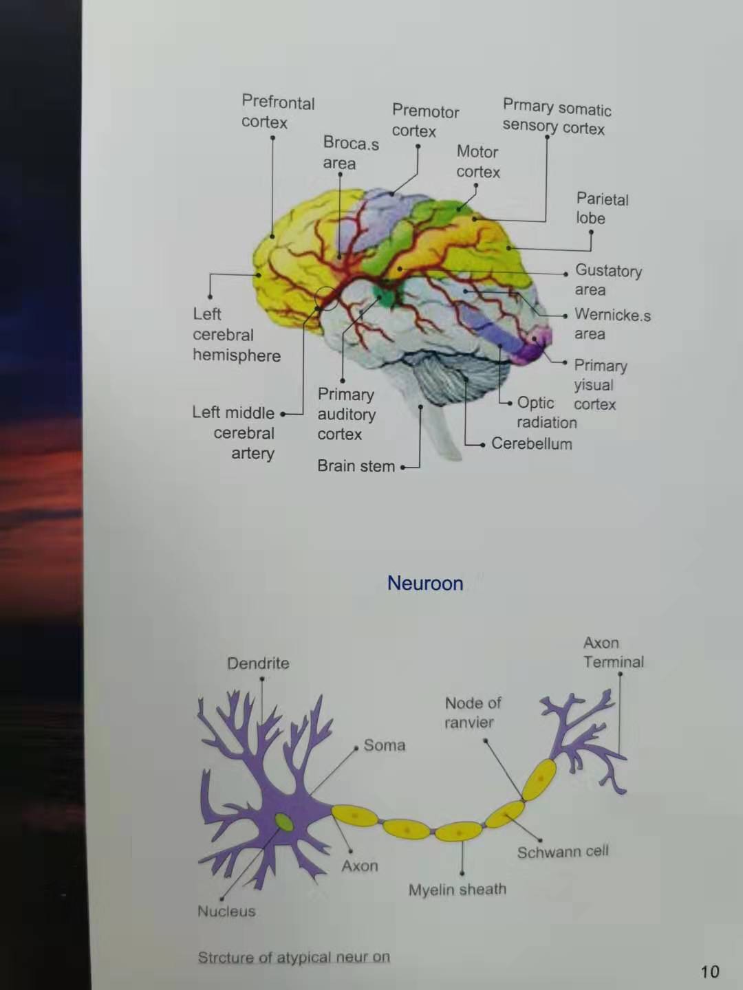2020年创业选择青少年儿童近视防控如何