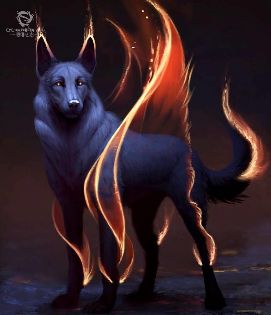 用彩光点亮动物,原来它们竟可以如此绚烂