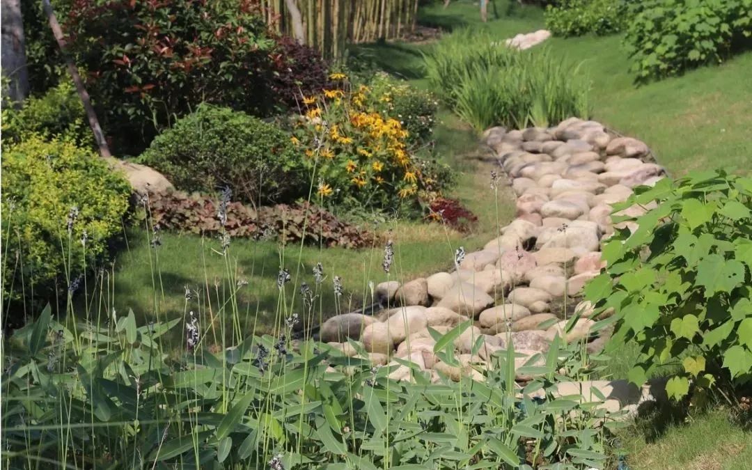 新沂或将成为海绵城市试点,你想知道的都在这.