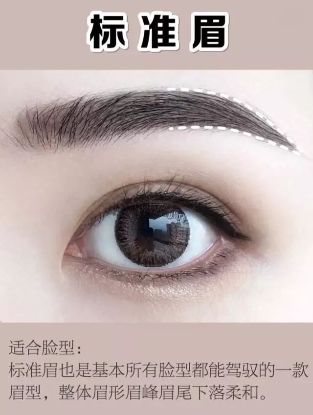 女生的眉毛类型图片