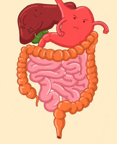 这种食物中国人最不爱吃但却是补钙的一把好手