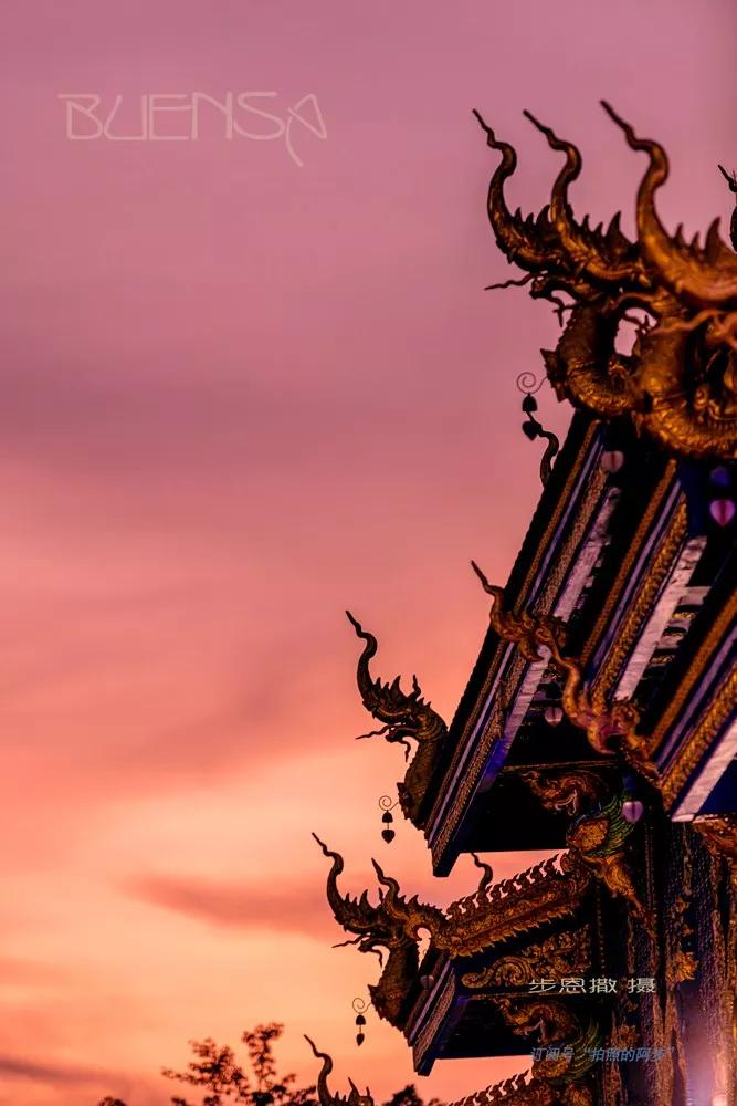 667_1000竖版 竖屏