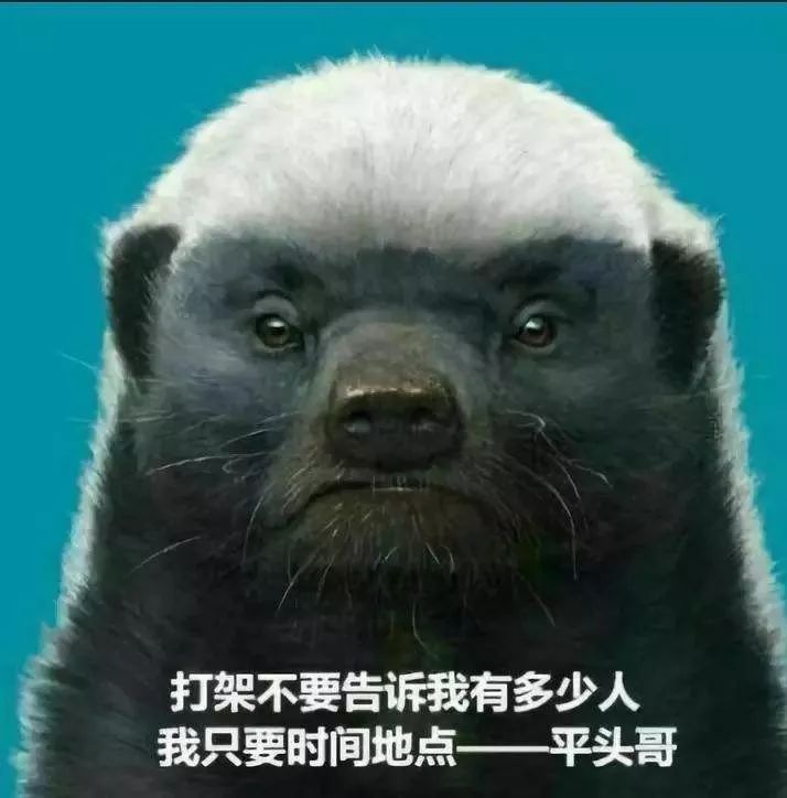 年10月阿里成立了芯片公司"平头哥半导体有限公司"寓意"小巧无畏"况且