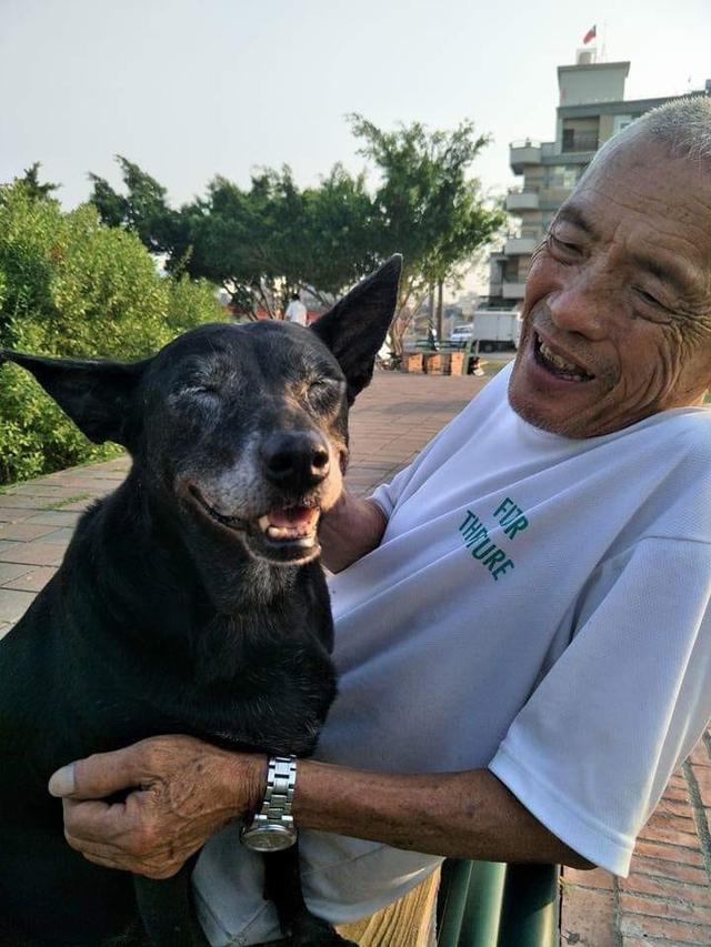 老爷爷不舍相伴25年老狗狗捏着它的照片去世不久后狗狗也走了