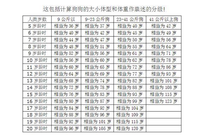 柯基每月体重对照表图片