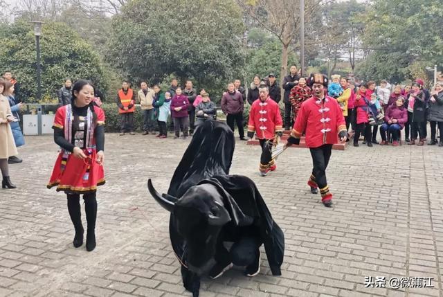 大兴镇三和村牛儿灯起源于40年前,是我县比较早的一批.