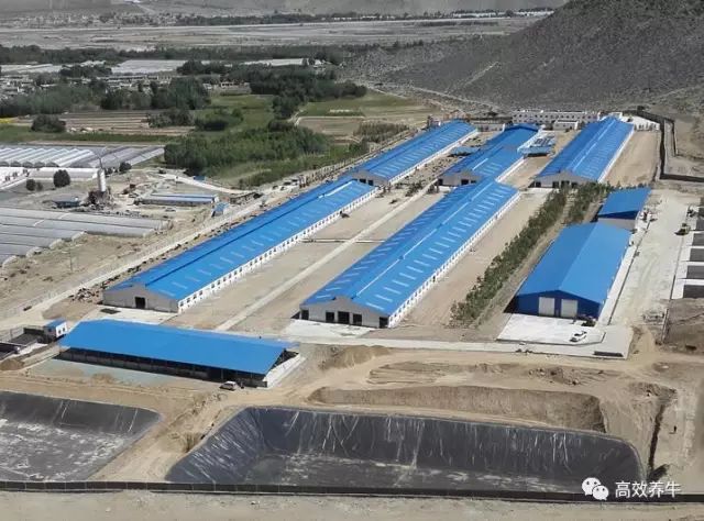 牛舍的设计与建造要懂得