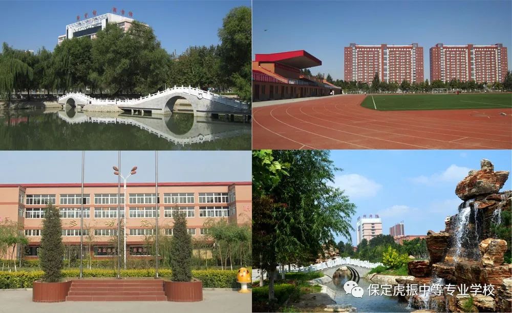 青春当努力,选择保定虎振学校,给自己一个成功成才的机会.end