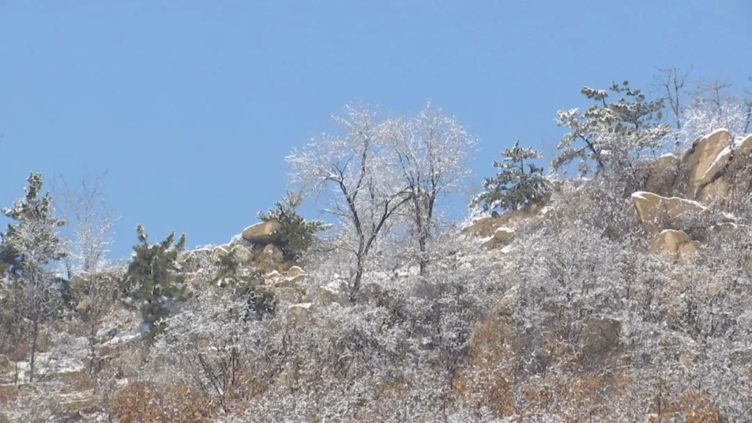 水墨画卷新泰雪后见子山惊艳了冬天