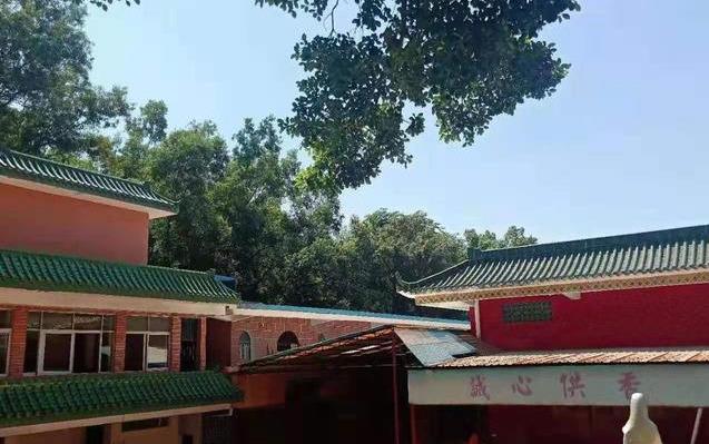 春节到开平梁金山道院接利是品道家文化就是不一样