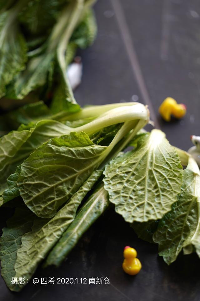 寒冬震泽香青菜鲜灵味美