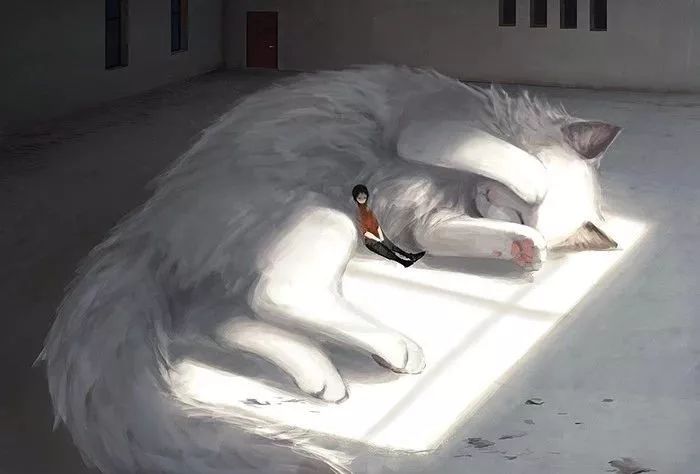 当萌猫变得巨大之后巨大生物插画师もの久保