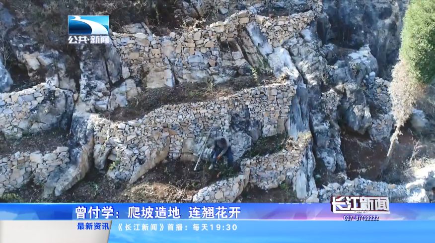 十堰市郧阳区大柳乡黄龙庙村二组村民 曾付学:"每年收个两三千斤连翘