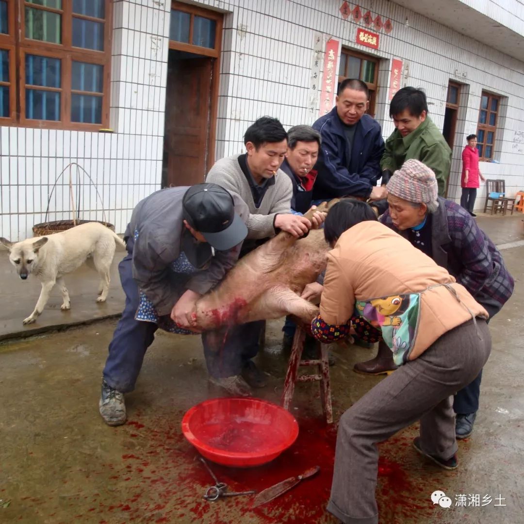 過年殺豬烤酒打豆腐拜年討餅撿炮仗小夥伴們約起來