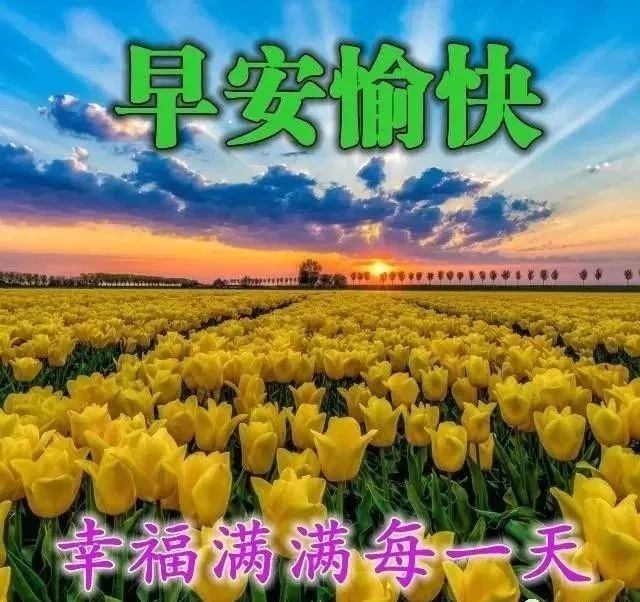 早上好祝福圖片早上好問候句子