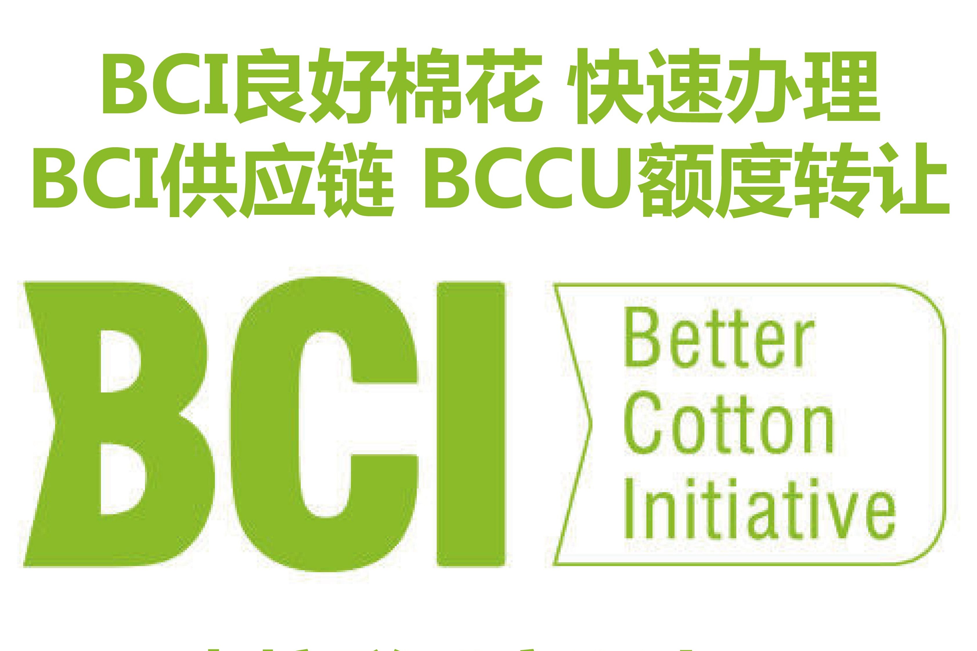 从加入bci到做bci订单,还有哪些会员权限是您不知道的?