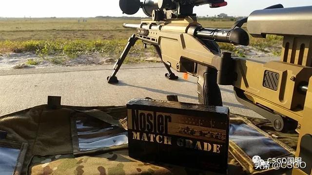 「csgo与现实」现实中的ssg08可不是鸟狙