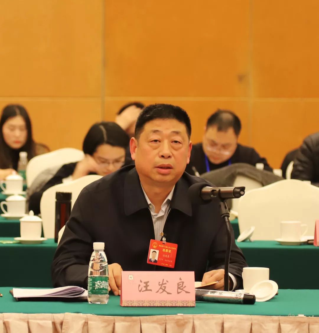 积极建言献策传递天门声音我市省人大代表热议省政府工作报告