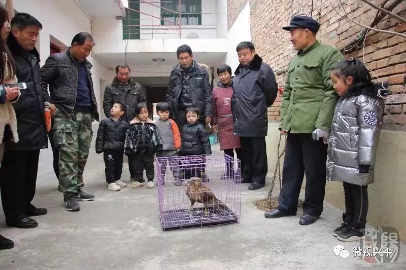 兴平西吴西一村征地图片