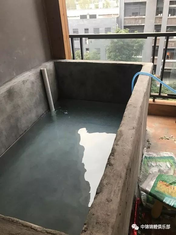 建池贴|花费九牛二虎之力,阳台鱼池终建成_防水