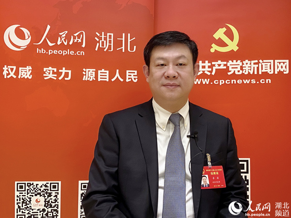 李湛代表:统筹资源加快服务全省实体经济的高质量发展需求_江汉区