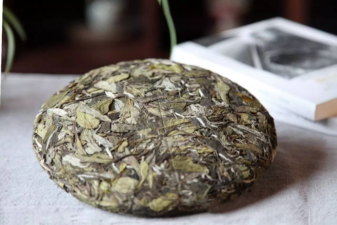 一款老白茶你能辨别出它大致的年份吗