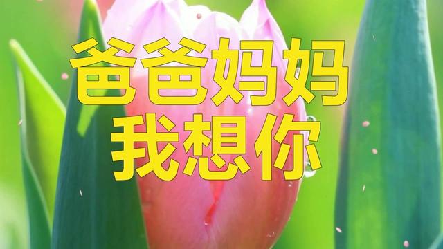 清明节到了农村6岁女儿唱爸爸妈妈我想你听哭上亿人