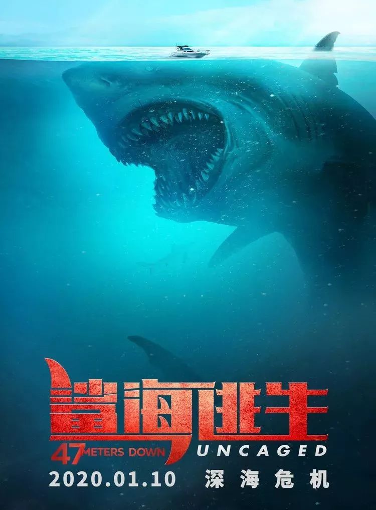 【火爆热映】《鲨海逃生》嗜血大白鲨,深海危机