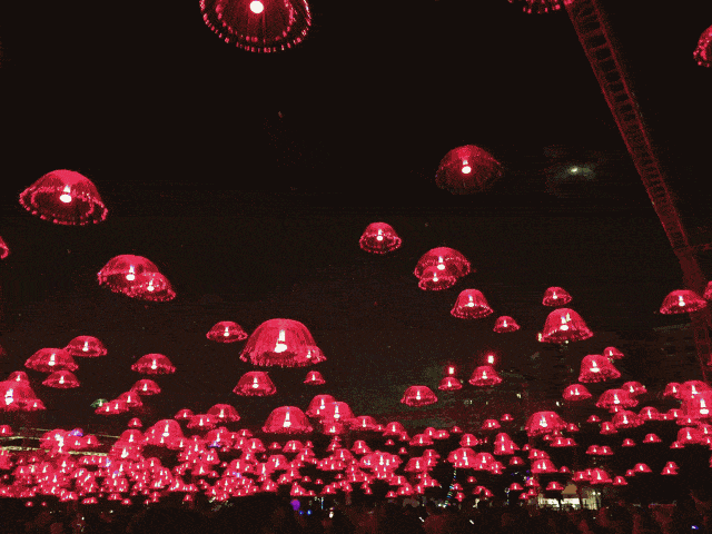 640_480gif 动态图 动图