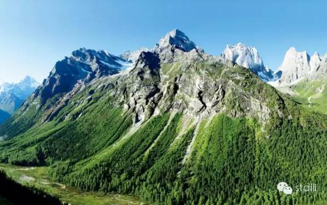 森林在这儿止住了脚步:林线中国——《中国国家地理》单之蔷_高山