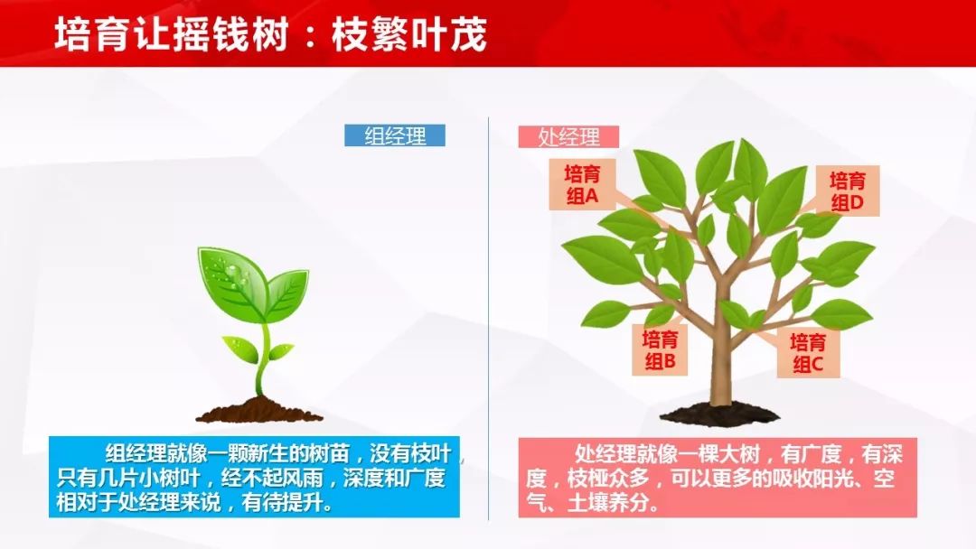 【六步成处】话术如下:f1,观念导入:小王,在寿险行业创业,有个固定的