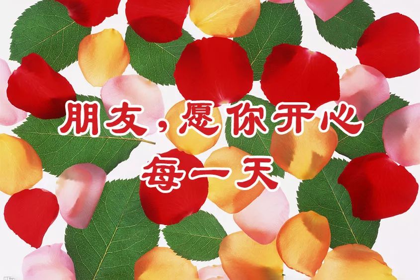 2020一些暖心话送给我的朋友