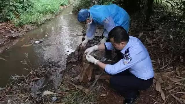 柳太路河中惊现半截女尸另半截在凶手终于落网了