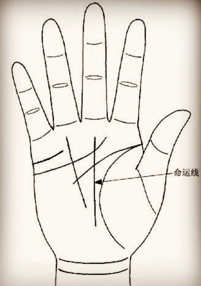 命运线出现不同情况的断开意味着什么