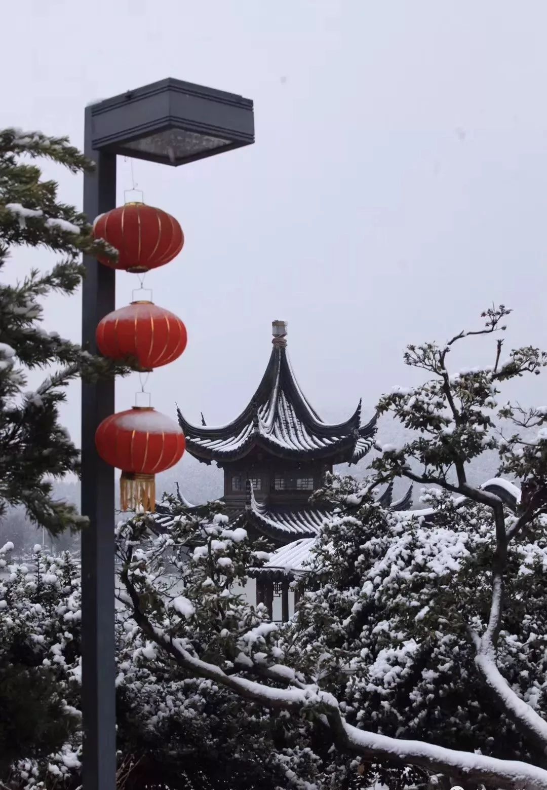 2020年的第二场雪来啦下雪的徐州真的很美