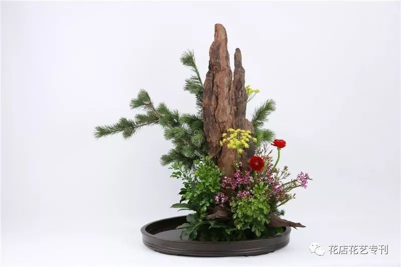 蔡仲娟大师深度访谈传统插花的正宗恰因为传承和发展