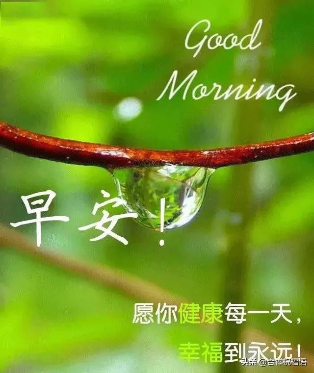 早晨好唯美图 早上好的图片表情带问候句子!_人生