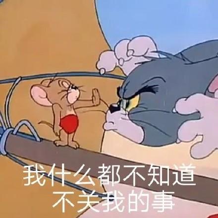 猫和老鼠表情包合集给宁拜个早年