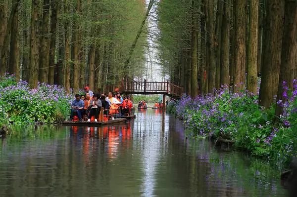 水上扬扬州瘦西湖李中水上森林公园纯玩2天